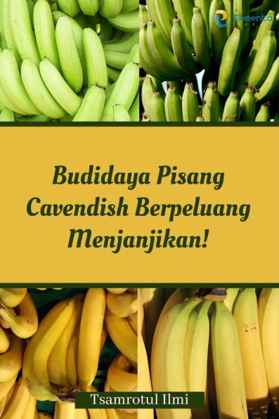 Sampul buku Budidaya Pisang Cave...